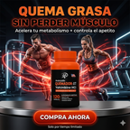 Burn XT Termogénico Quemador de Grasa con Yohimbine HCl – Suplemento para hombres y mujeres