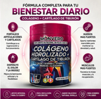 Colágeno hidrolizado con cartílago de tiburón 300g polvo Ecuador